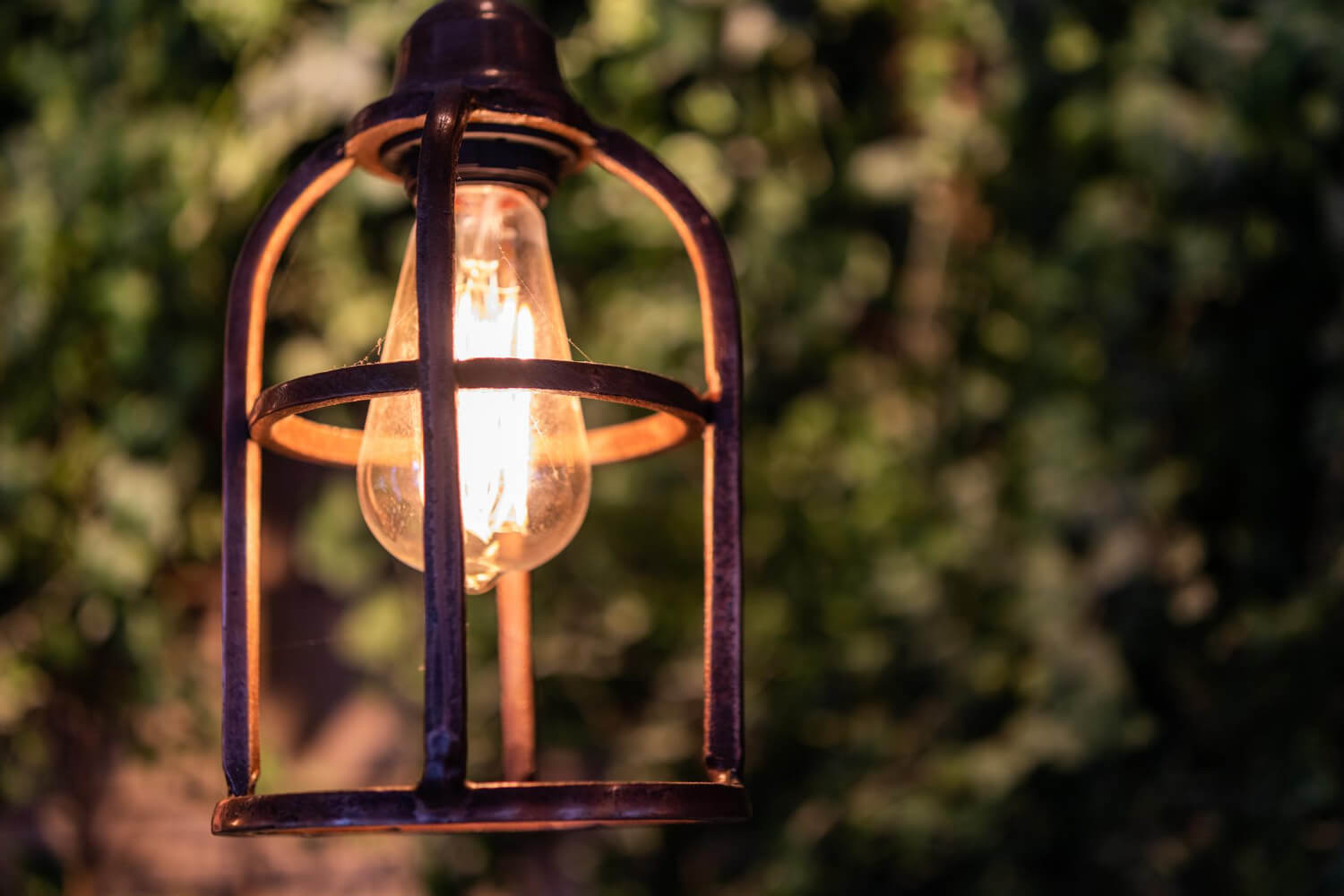 Garden Lighting Service in NYC