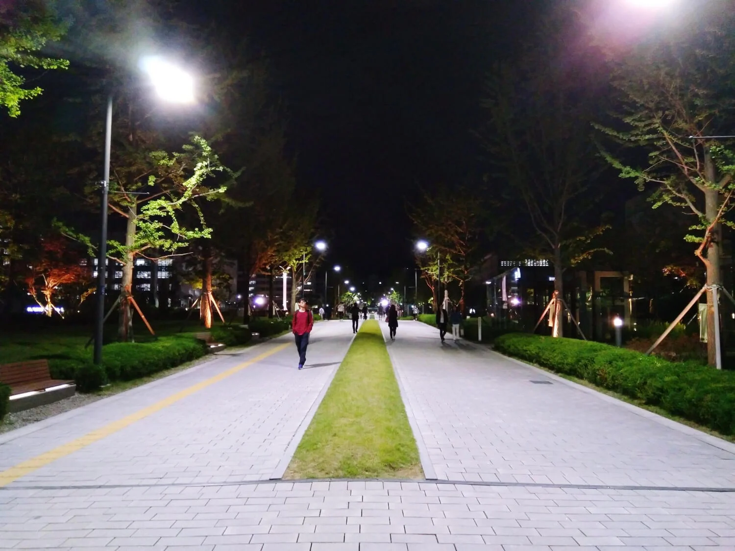 Pavement Lighting in NYC